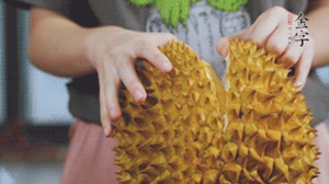 榴蓮剝好肉后，搗成泥狀。