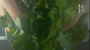 【面皮】1.鍋中水開時，放挑揀好的艾草和一撮小蘇打，第一遍煮開后倒掉，重新加水大火煮開后，小火煮1小時。煮爛的艾草用紗布瀝干。