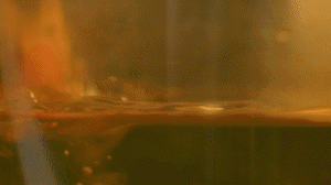 雞肉、鹽、料酒入冷水鍋水開后撇去浮沫，溫水洗凈。