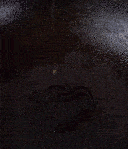 冷鍋熱油，下蒜片爆香，下香腸、玉米筍、蓮藕、西芹爆炒，期間加點(diǎn)水，翻炒1分鐘后加新鮮百合片，翻炒30秒。